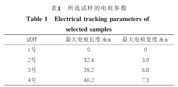 功率放大器在電痕腐蝕去極化電流影響中的應(yīng)用