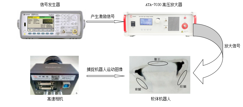 功率放大器在驅(qū)動介電彈性體機(jī)器人的應(yīng)用