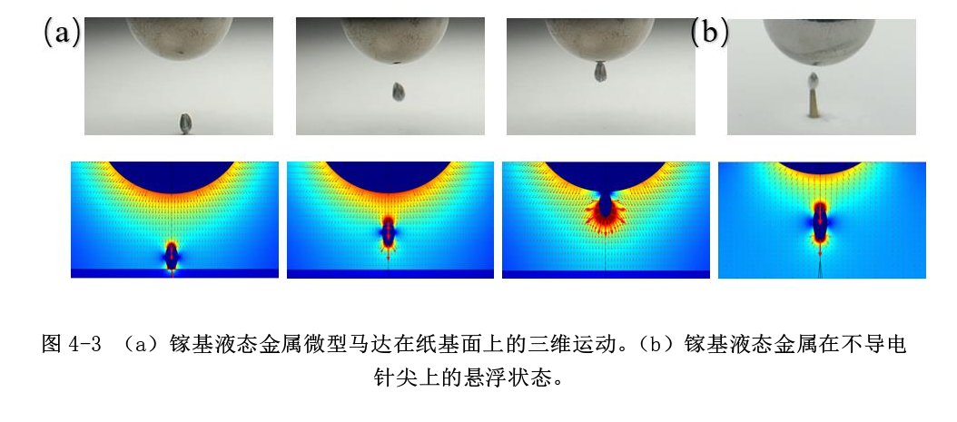高壓放大器在金屬微型馬達(dá)的運(yùn)動(dòng)控制中的應(yīng)用